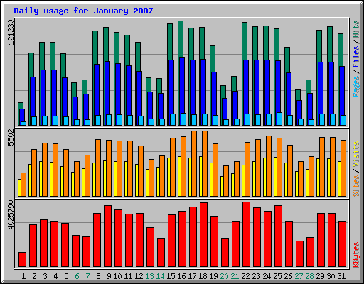 Daily usage for January 2007