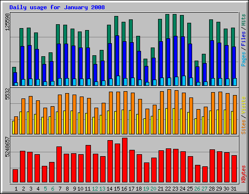 Daily usage for January 2008