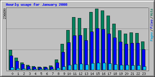 Hourly usage for January 2008